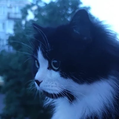 メンバー